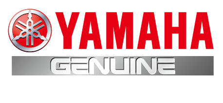 Genuine Parts _ Accessories Logo_Coloured Background Use ONLY